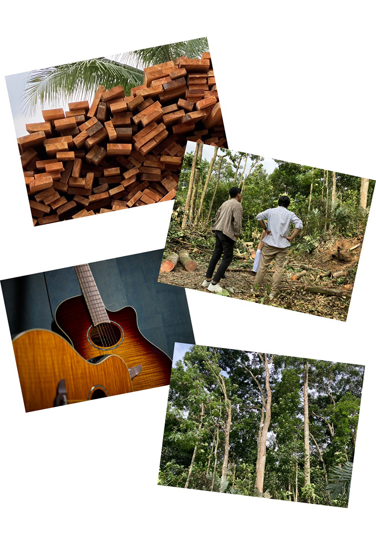 [写真] サステナブルな木材調達コラージュ