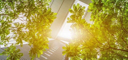 [サムネイル] 環境マネジメント