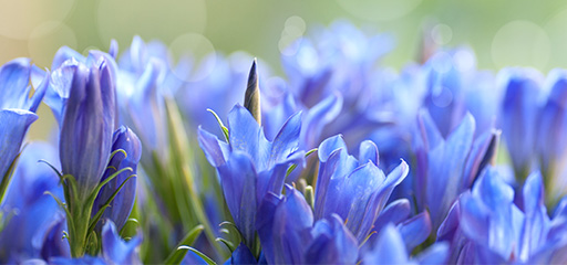 [サムネイル] コンプライアンス