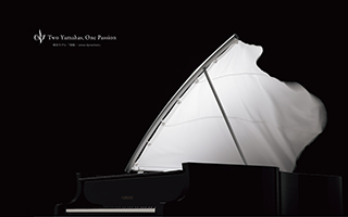 「情動：sense dynamism」