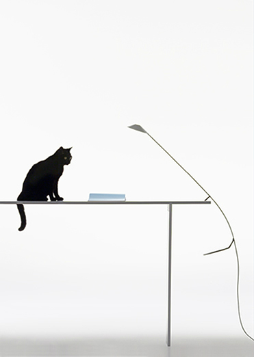 [ 画像 ] reflection of you