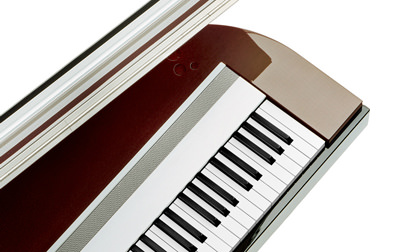 Electronic Piano : MODUS H01