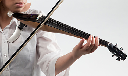 Fagiano (proto-type)