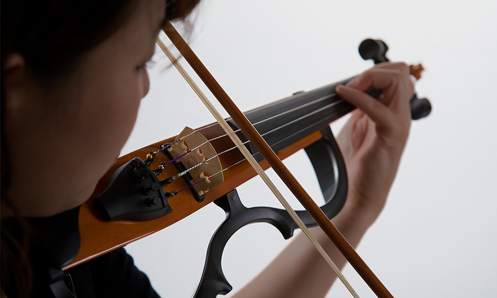 [ 画像 ] Garnish a cropped contour line