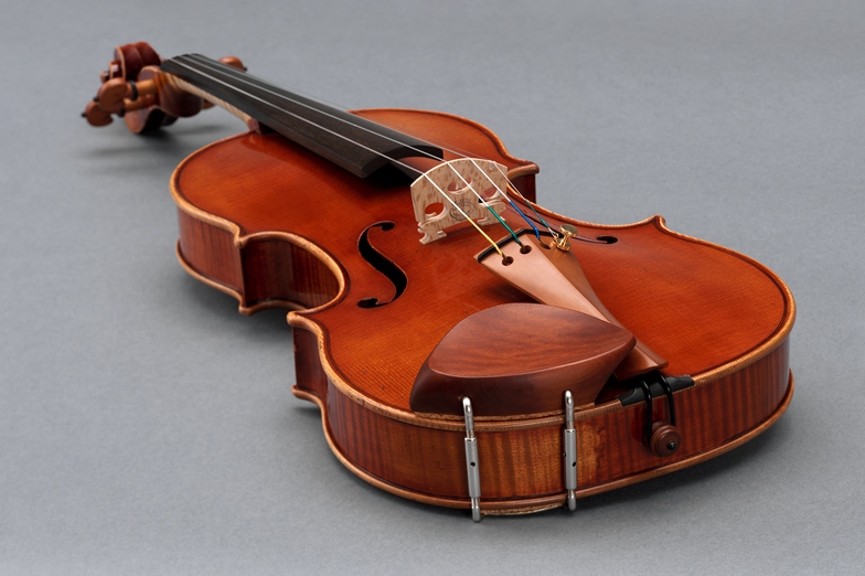 画像 木材改質技術 A.R.E.&reg;