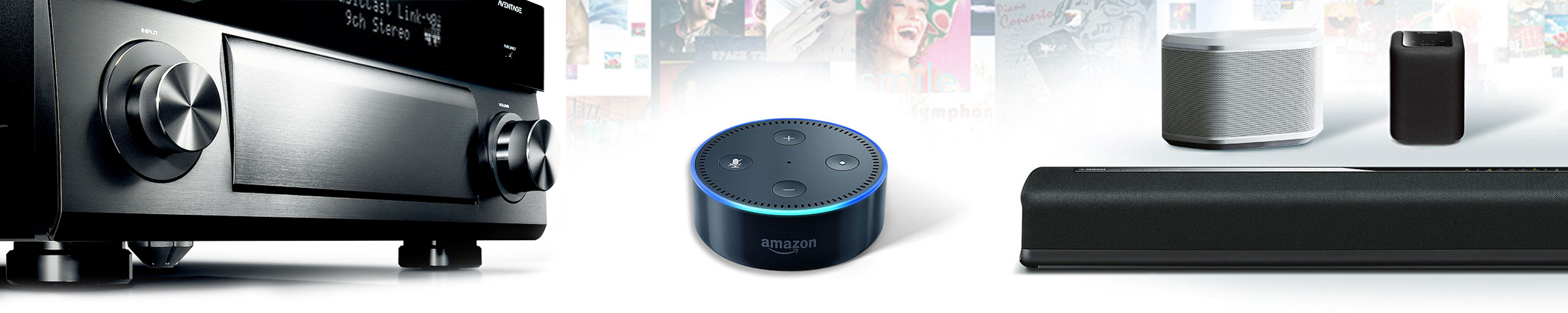hub nest google