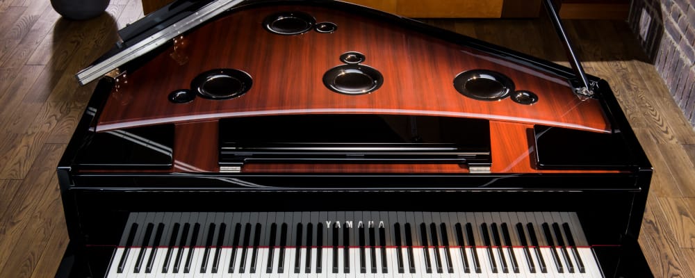 angled topshot photo of avantgrand piano
