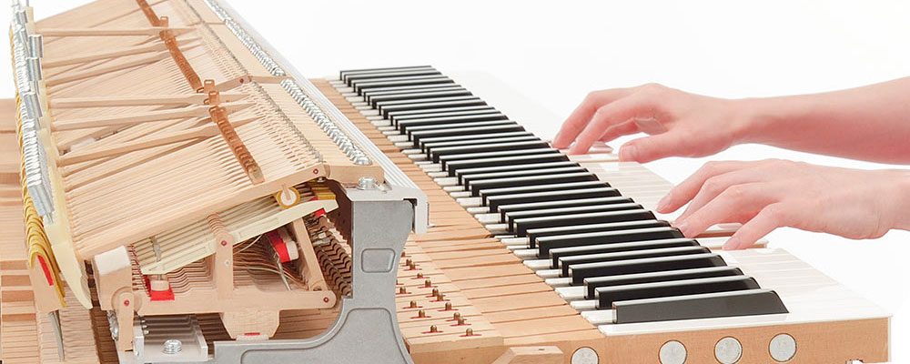 two hands playing a cvp piano showing the inside parts 