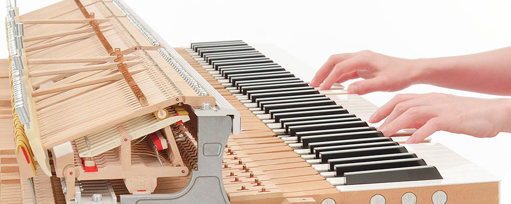 two hands playing a cvp piano showing the inside parts