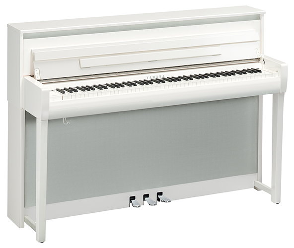 Polished White color icon image