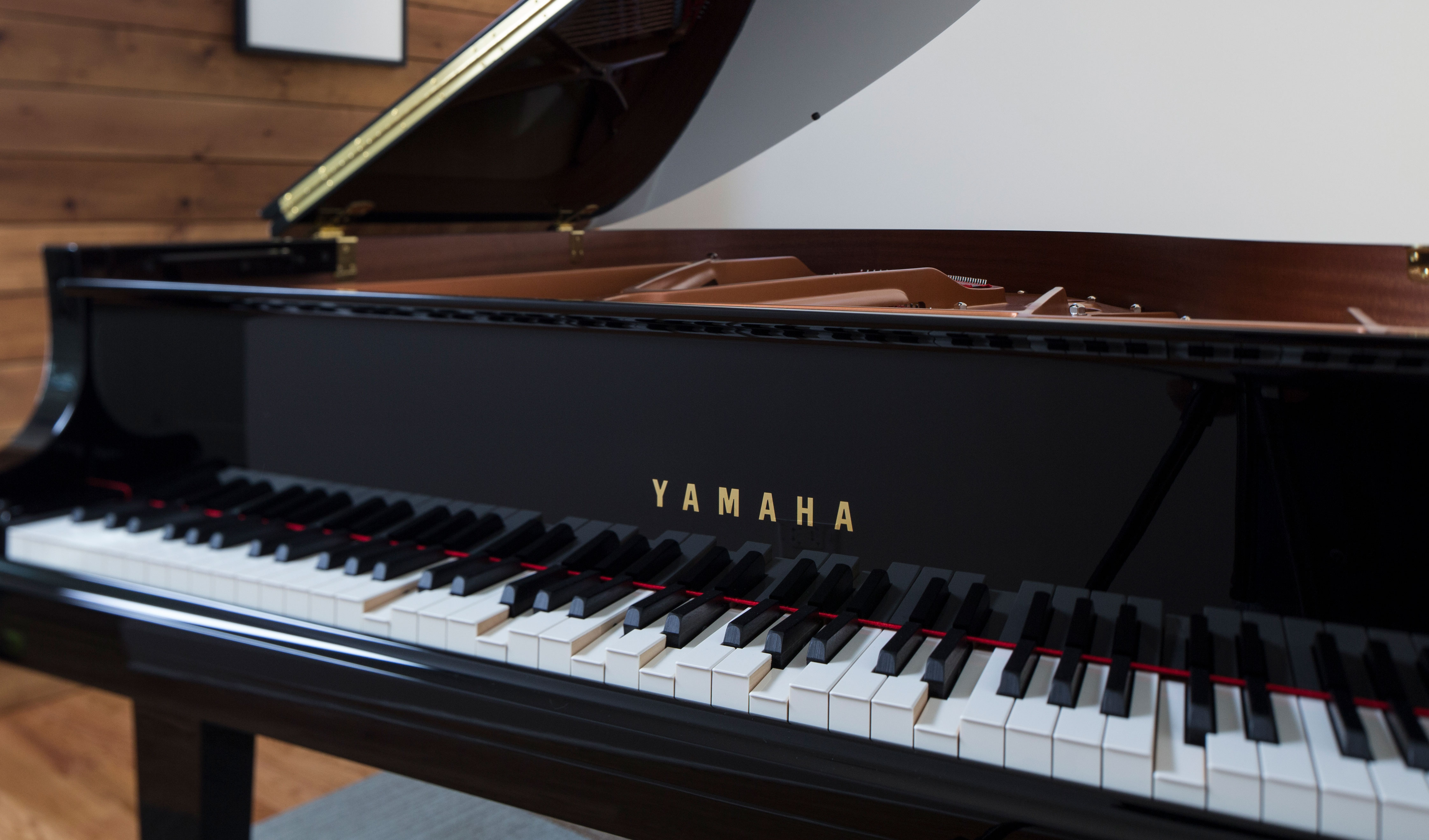 close-up view photo of Disklavier Piano