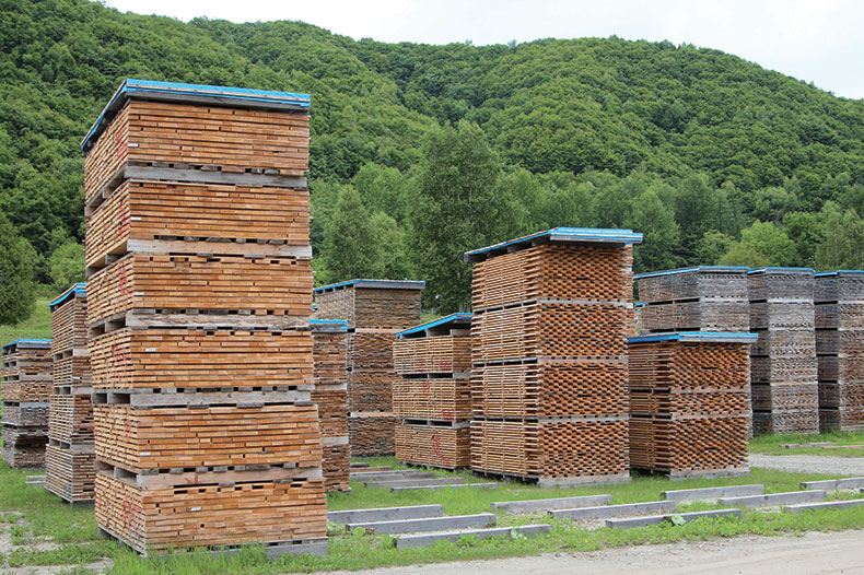 photo of several pile of woods in Kitani mill