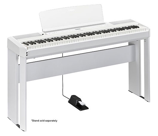 Image of P-515 White