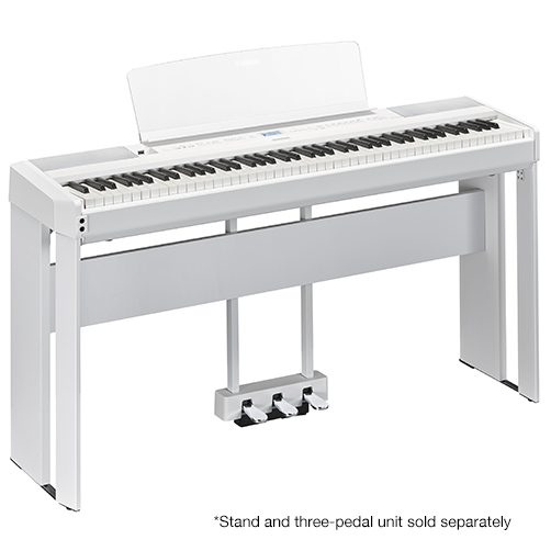 Image of P-525 White