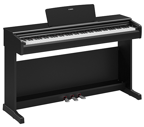 YDP-146 in a Black color