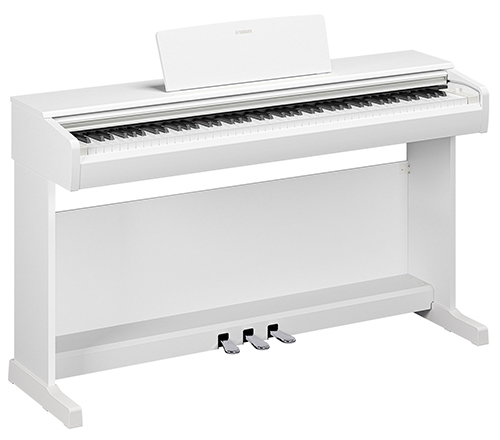 White color icon image