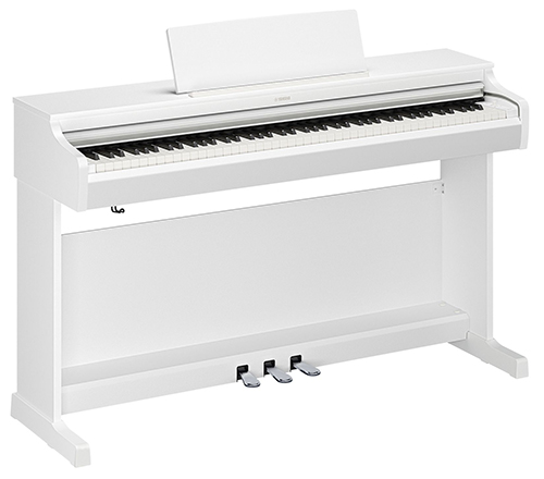 White color icon image