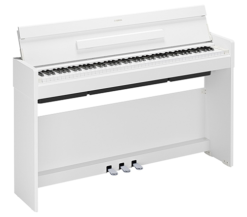 White color icon image