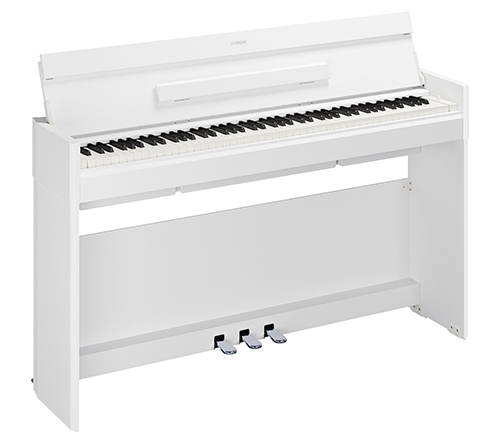 white color icon image