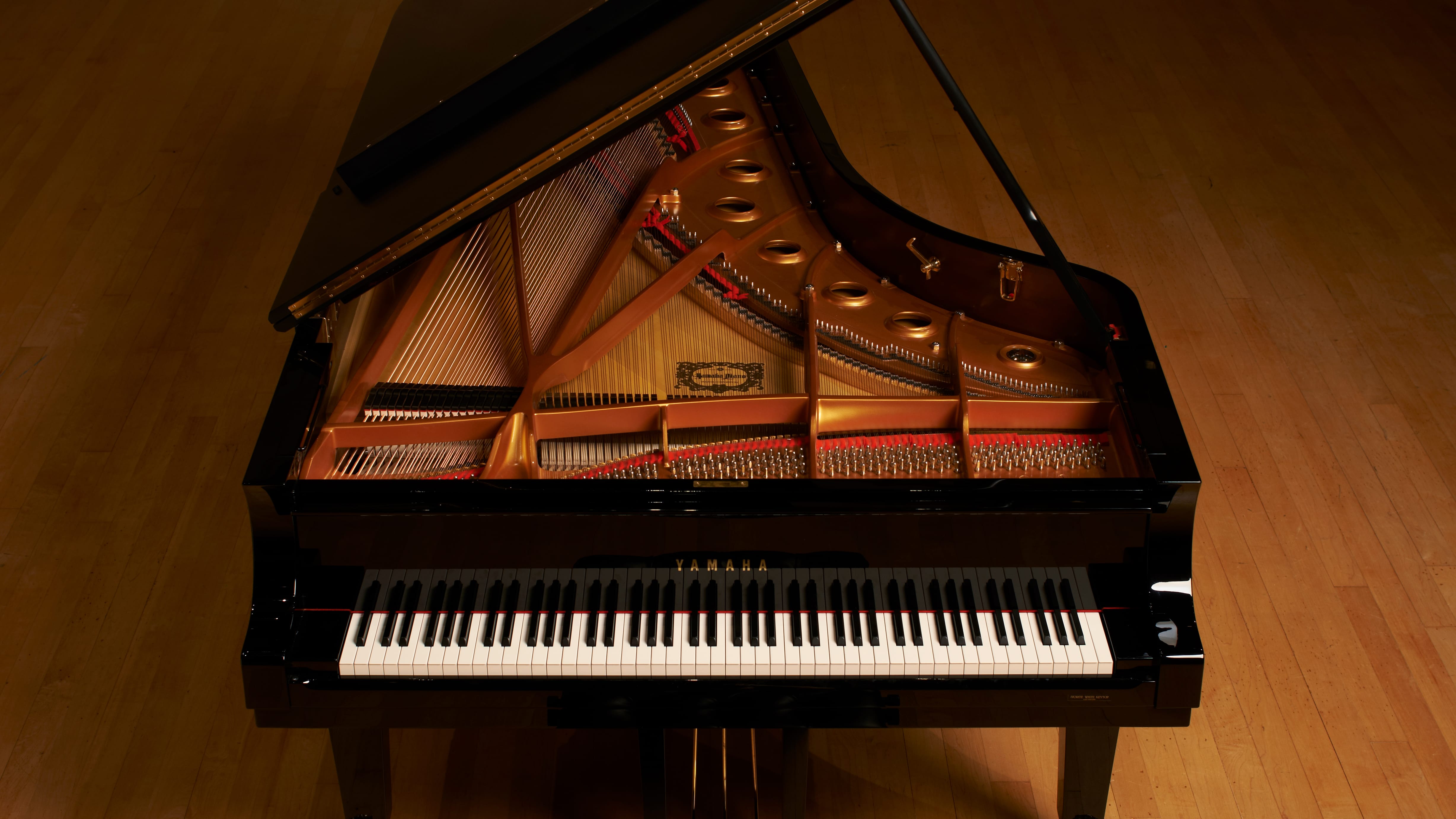 grand piano top view strings