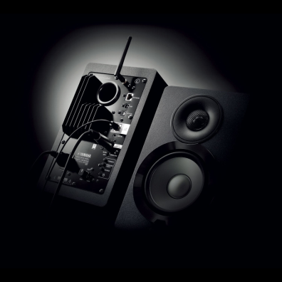 NX-N500 - Overview - Speakers & Subwoofers - Home Audio - Products