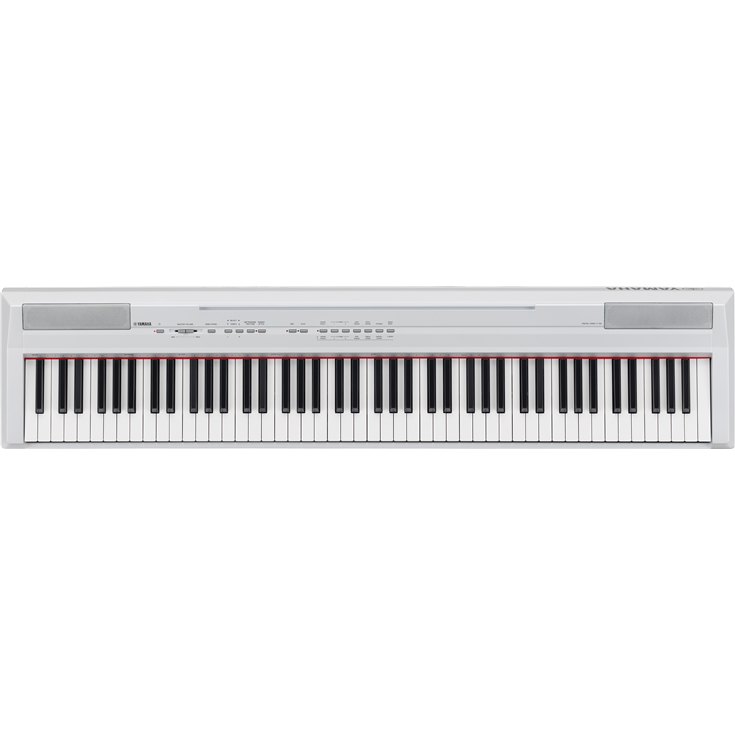 P-105 - Overview - Portables - Pianos - Musical Instruments