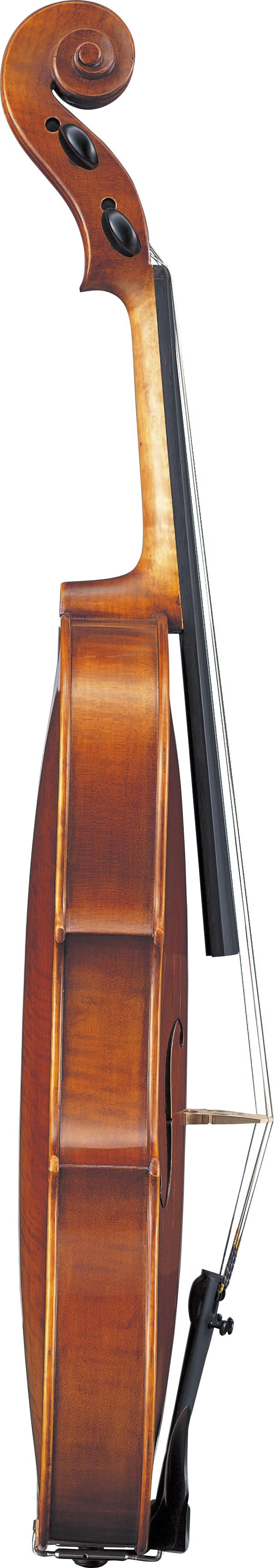 AVA7-S - Overview - Acoustic Strings - Strings - Musical