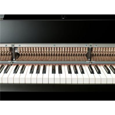 N3X - Concept - AvantGrand - Pianos - Musical Instruments