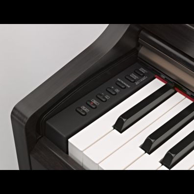 YDP 162 Overview ARIUS Pianos Musical Instruments Products Yamaha United States