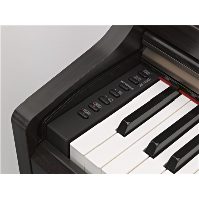 YDP-162 - Overview - ARIUS - Pianos - Musical Instruments - Products -  Yamaha - United States