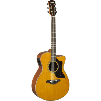 A Series - A1 - Acoustic Guitars - Guitars, Basses & Amps