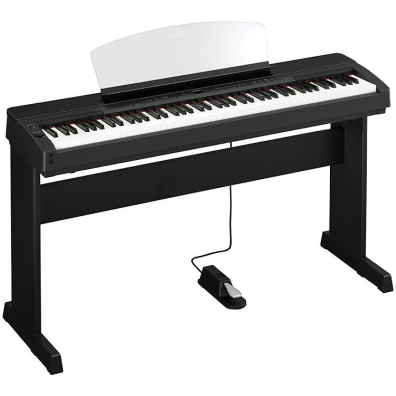 パリコレクション Pianos - Portables - Downloads - P-155 - Instruments Musical 鍵盤楽器