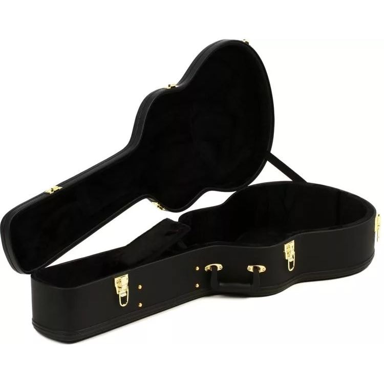 Hardshell acoustic guitar case discount