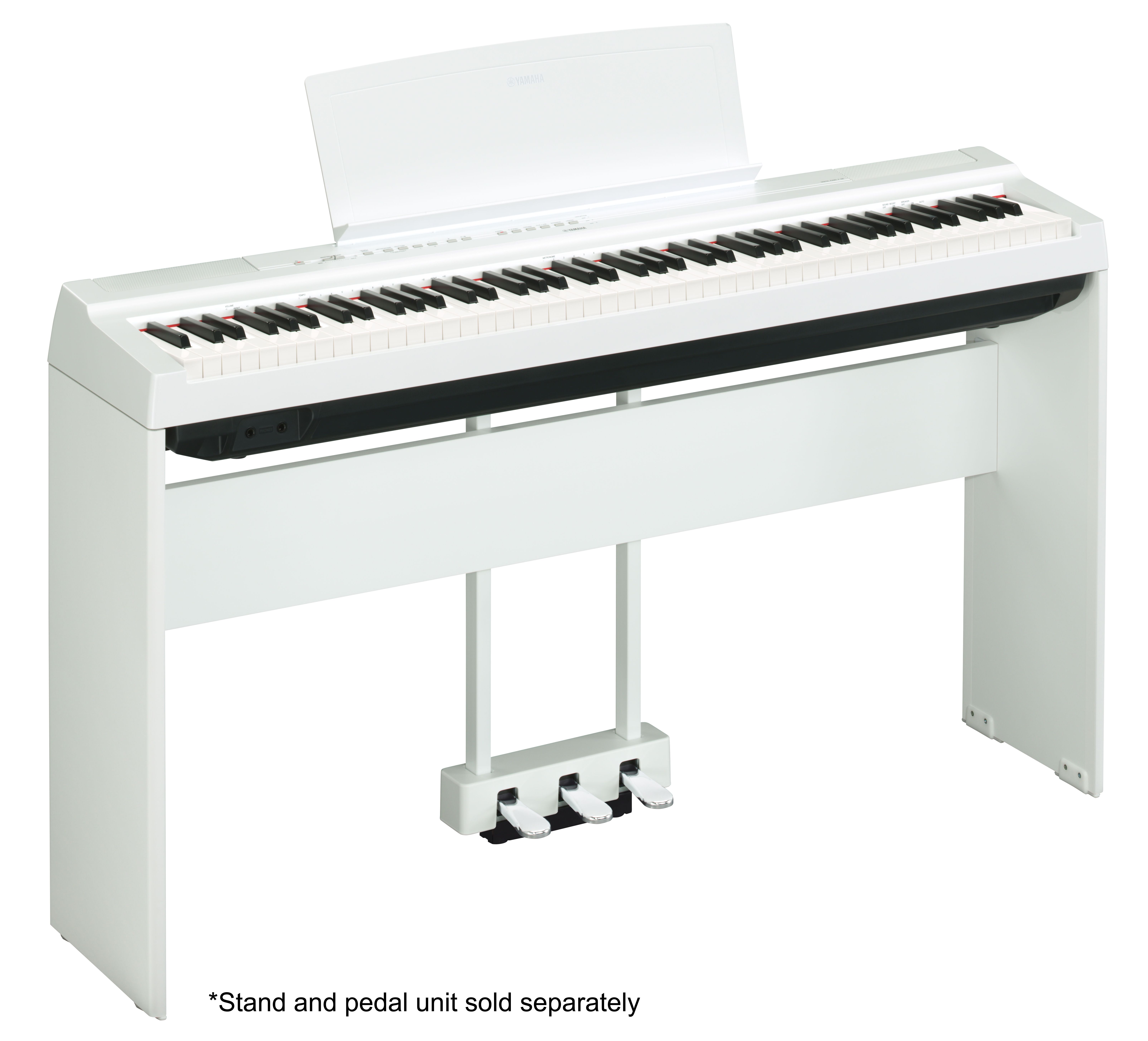 P-125 - Downloads - Portables - Pianos - Musical Instruments
