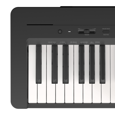 YAMAHA ヤマハ88鍵盤 電子ピアノ P-143 Yamaha P-143 88-Key Digital Piano | Music & Arts