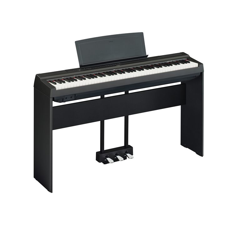 P-125 - Downloads - Portables - Pianos - Musical Instruments 