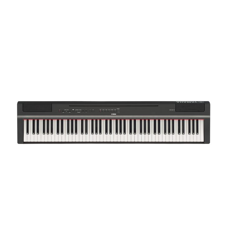 P-125 - Overview - Portables - Pianos - Musical Instruments