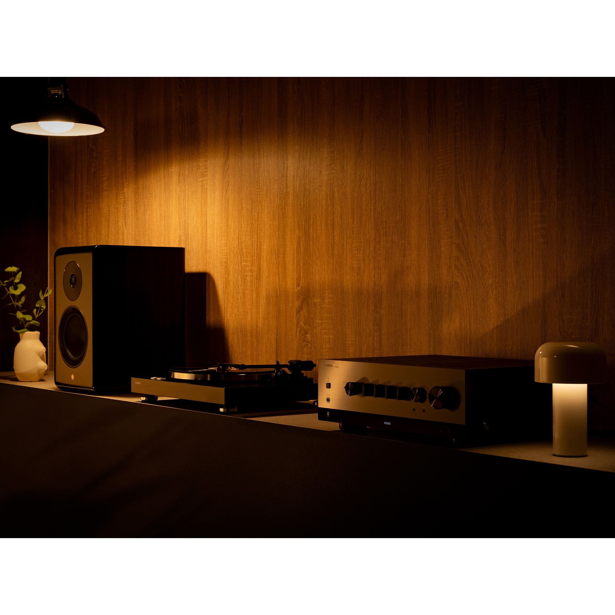 TT-S303 - Overview - Hi-Fi Components - Home Audio - Products