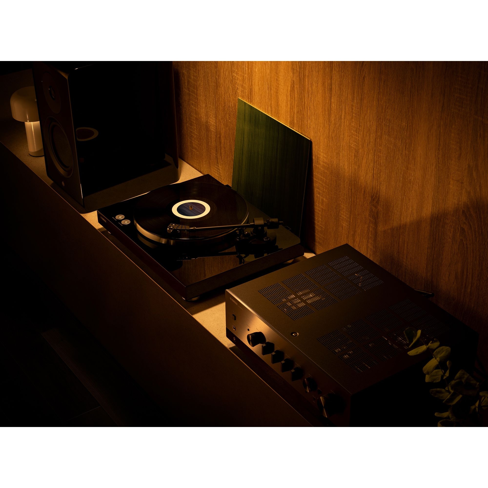 TT-S303 - Support - Hi-Fi Components - Home Audio - Products