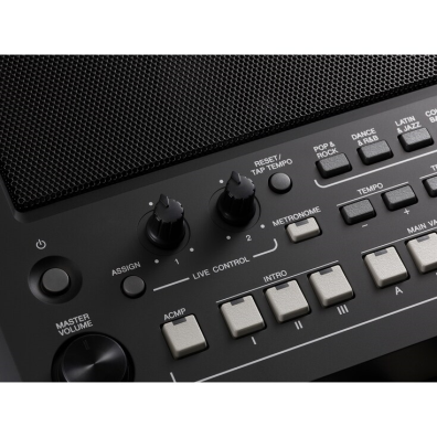 Yamaha psr sx600 styles hotsell