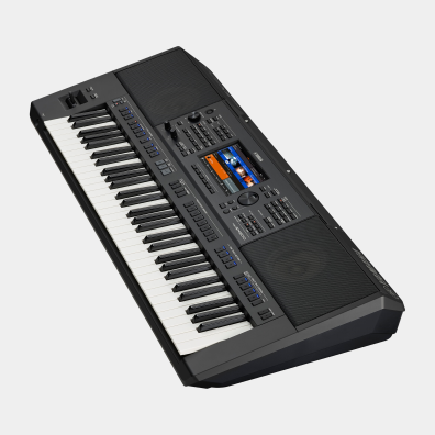 PSR-SX900 - Voice \u0026 Style Expansion 
