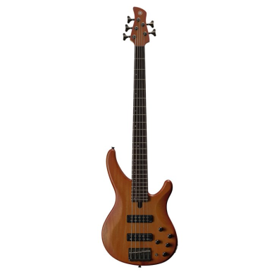 TRBX - Overview - Basses - Guitars, Basses & Amps - Musical