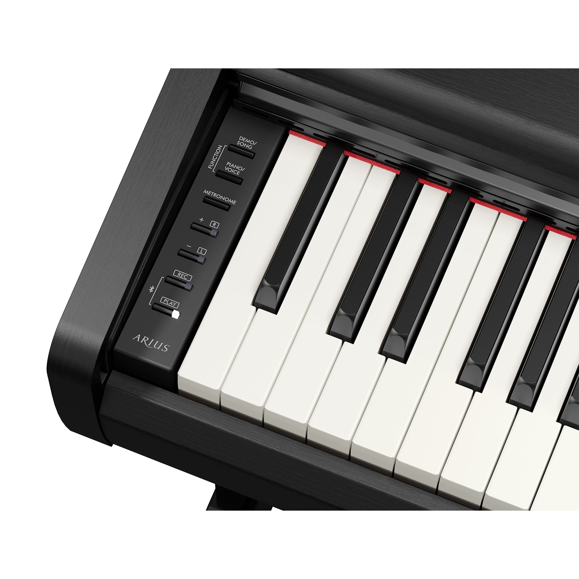 YDP-146 - Specs - ARIUS - Pianos - Musical Instruments - Products