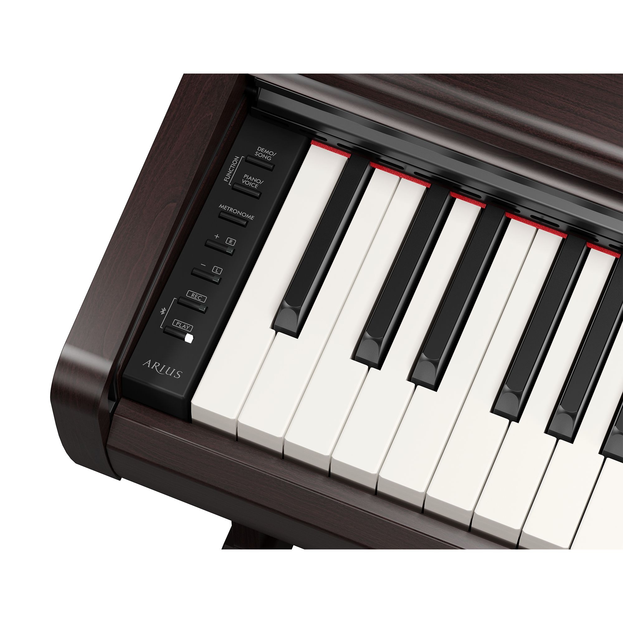 YDP-146 - Specs - ARIUS - Pianos - Musical Instruments - Products