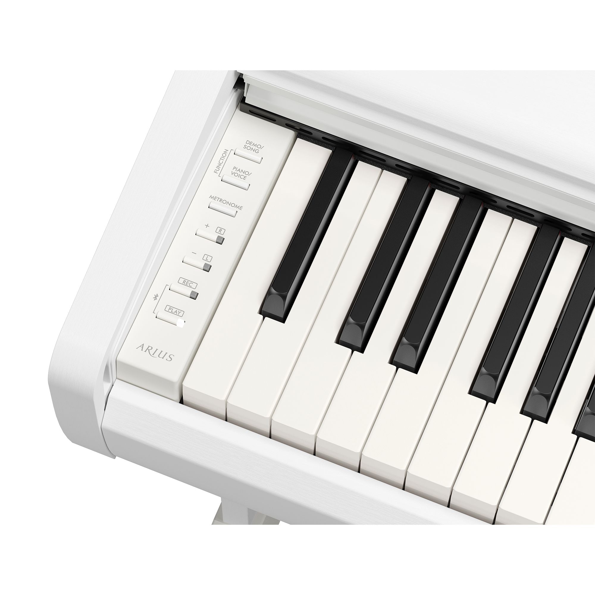 YDP-146 - Specs - ARIUS - Pianos - Musical Instruments - Products