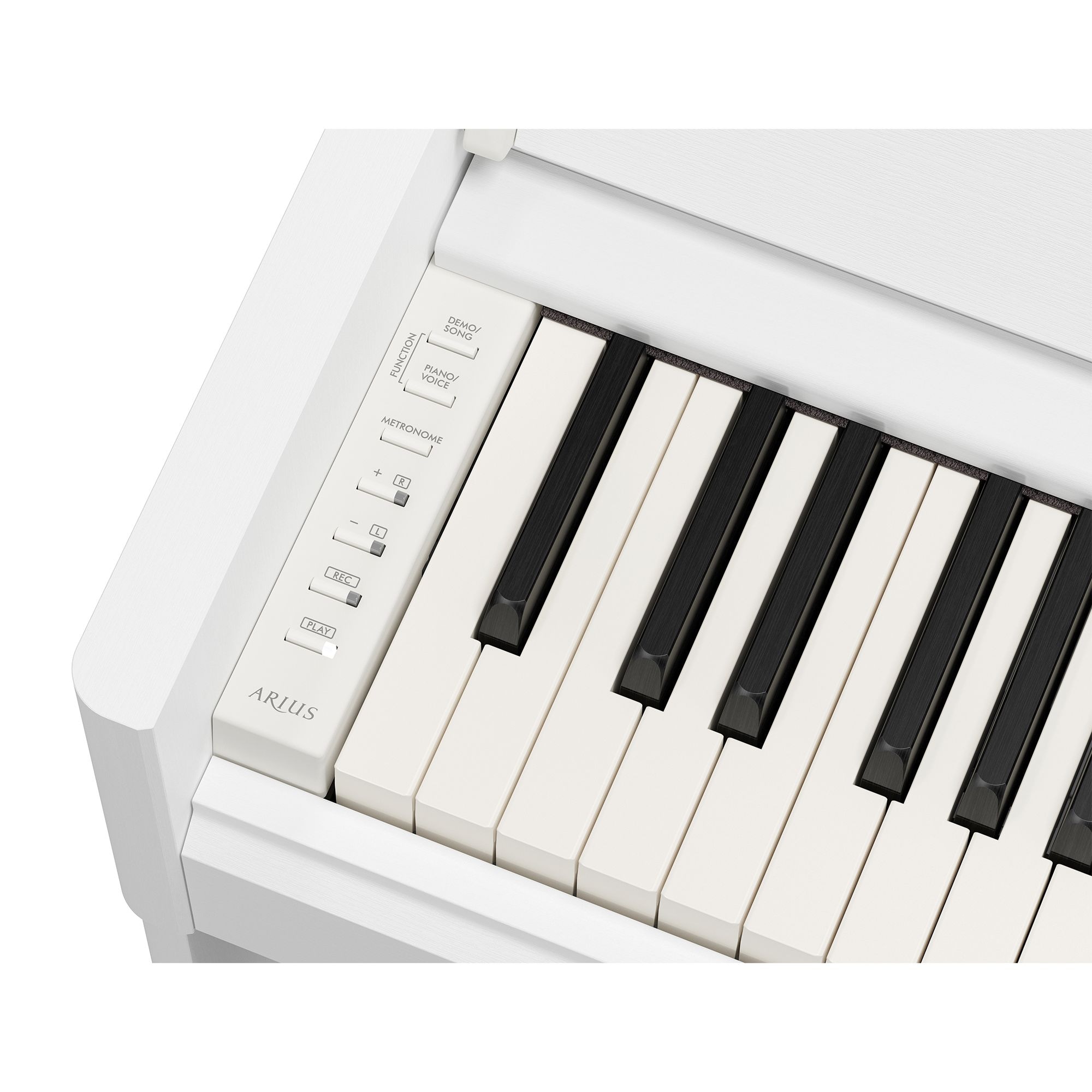 YDP-S56 - Overview - ARIUS - Pianos - Musical Instruments