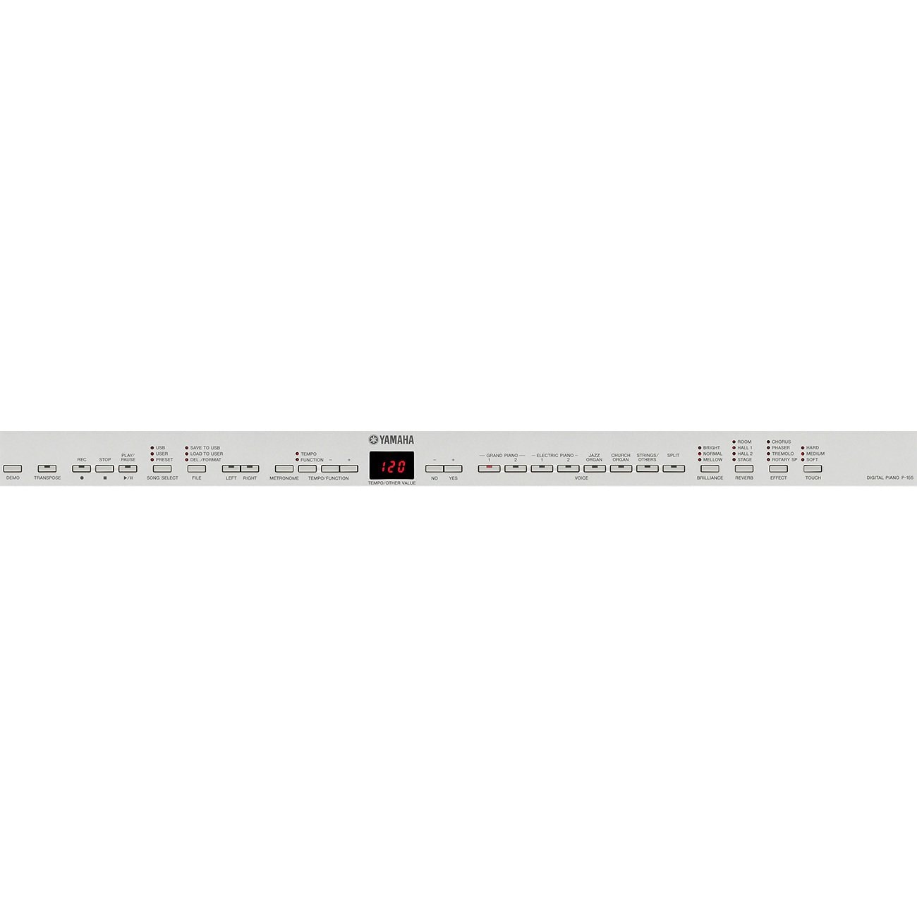 P-155 - Downloads - Portables - Pianos - Musical Instruments - Products -  Yamaha - United States