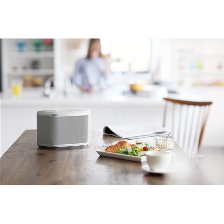 WX-030 - Overview - Wireless Speakers - Home Audio