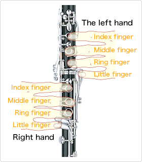 Finger positions on the clarinet